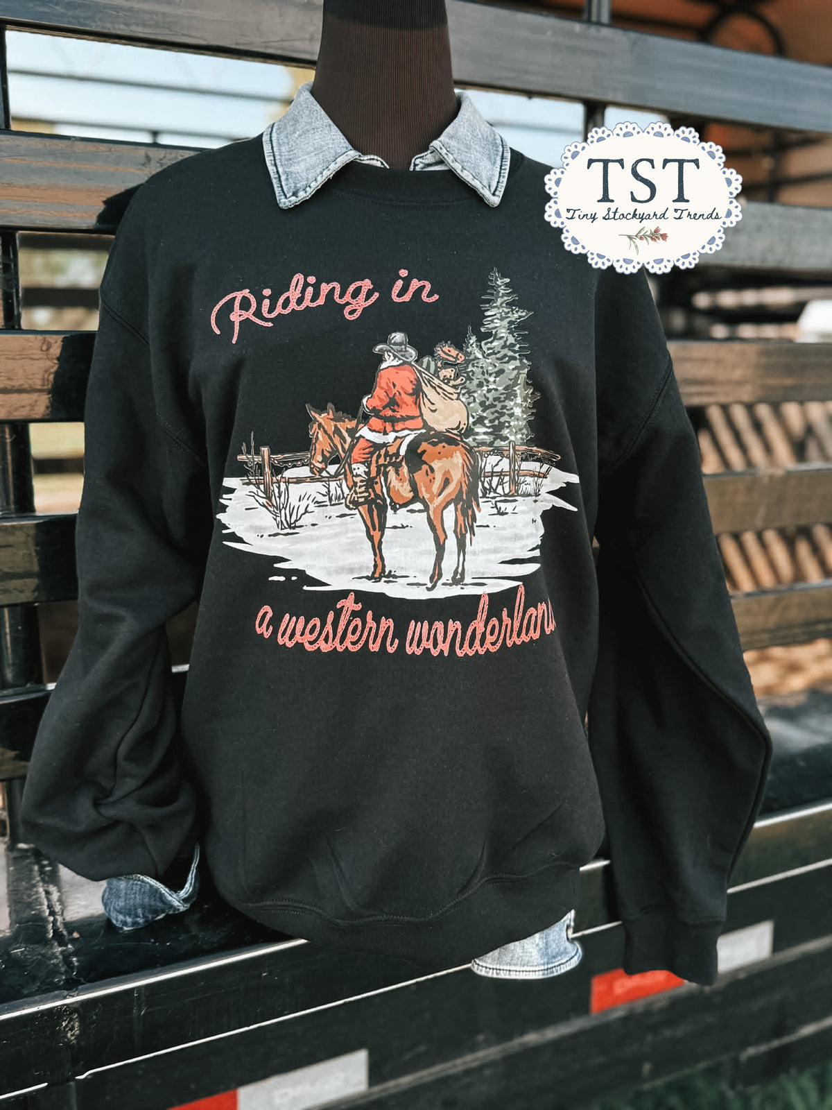 Riding in a Western Wonderland-Adult