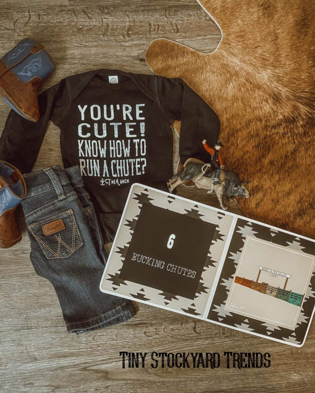 Rodeo Time Book