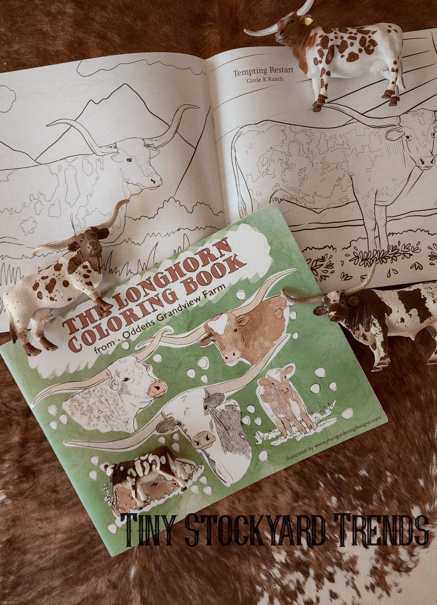 The Longhorn Coloring Book