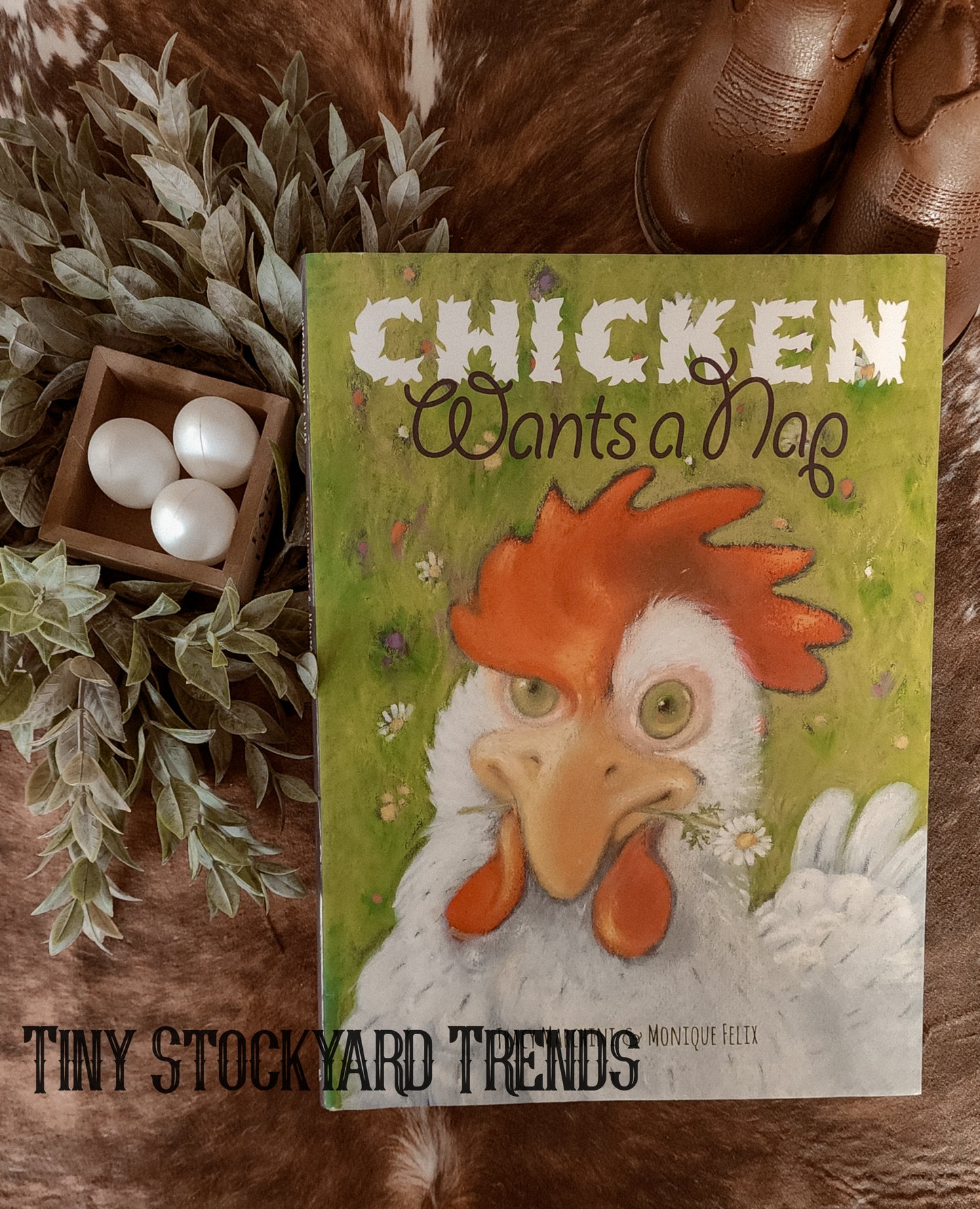 Chicken Wants A Nap Book