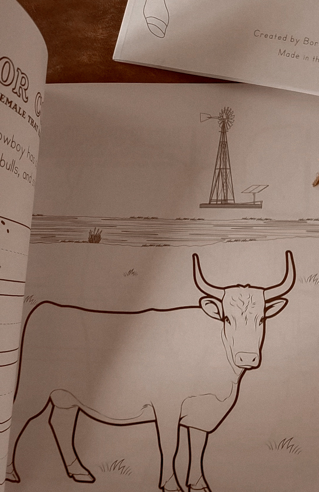 Ranching Workbook and Coloring Book
