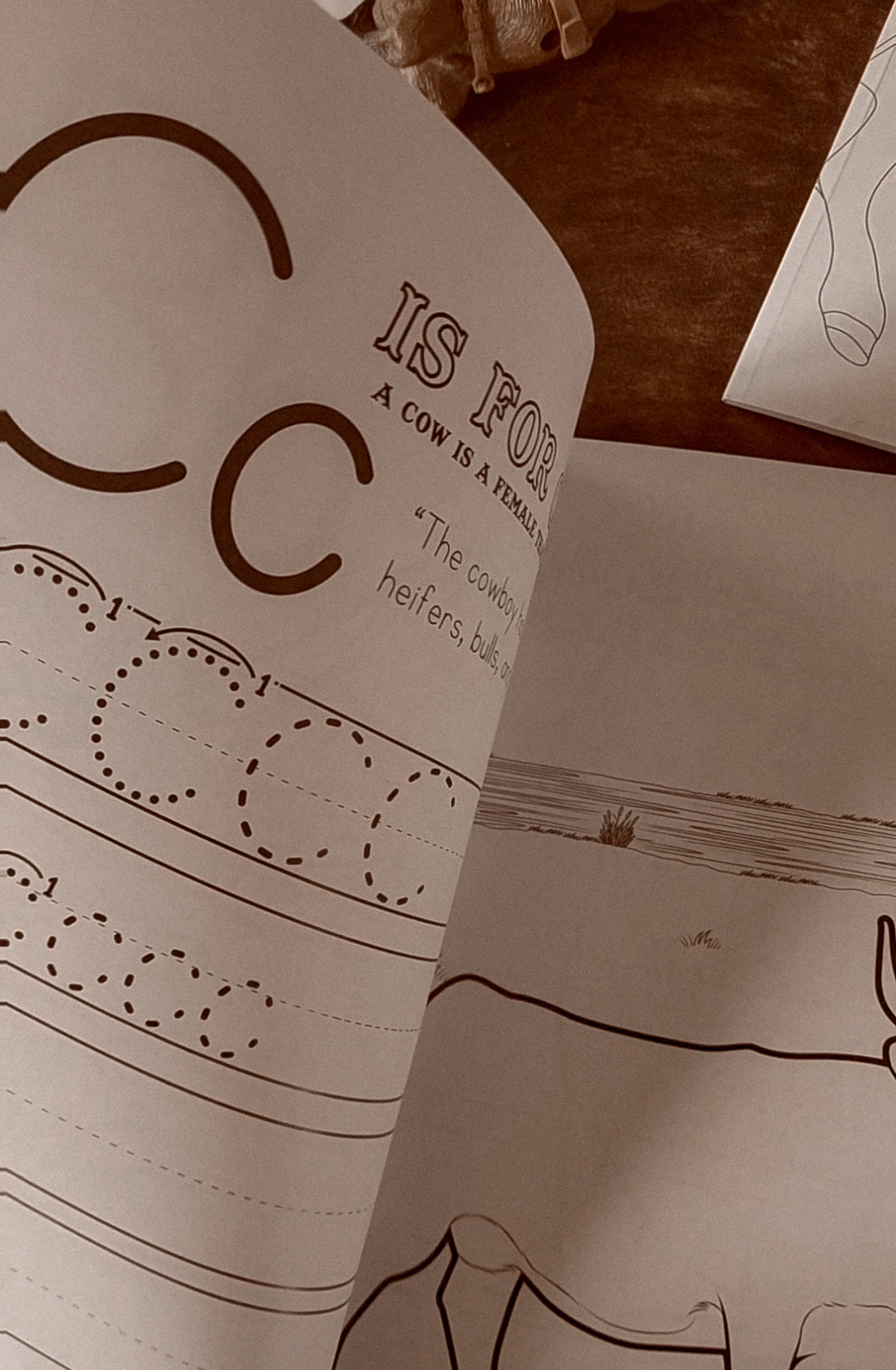 Ranching Workbook and Coloring Book
