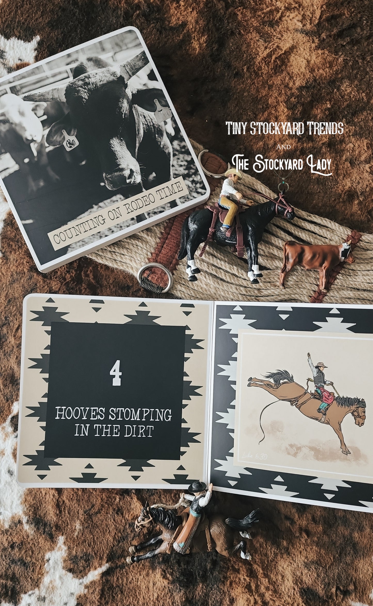 Rodeo Time Book