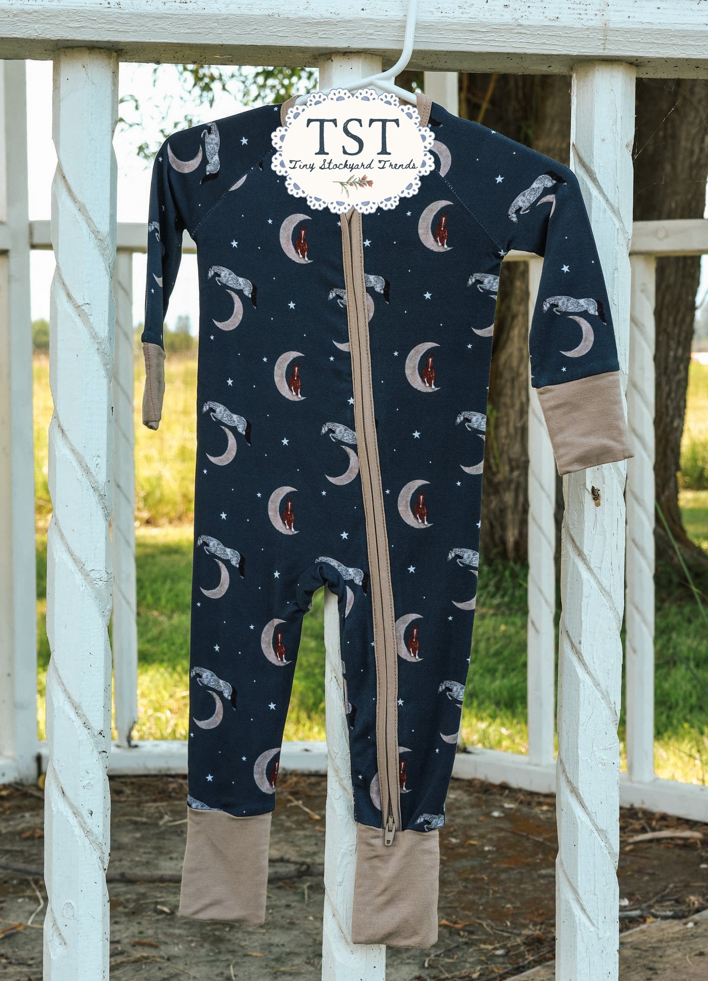 Hung the Moon