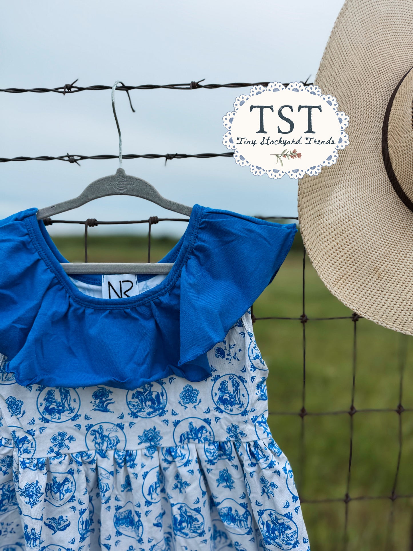 Trails & Toile Dress