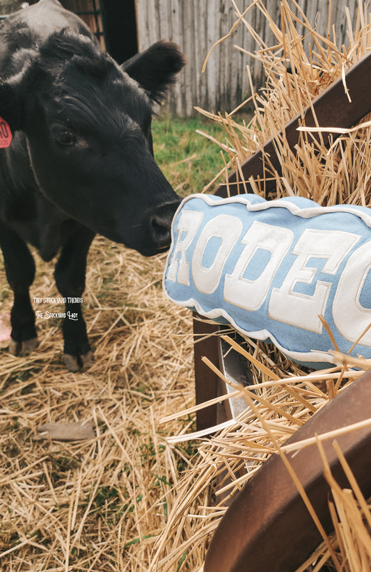 Rodeo Pillow