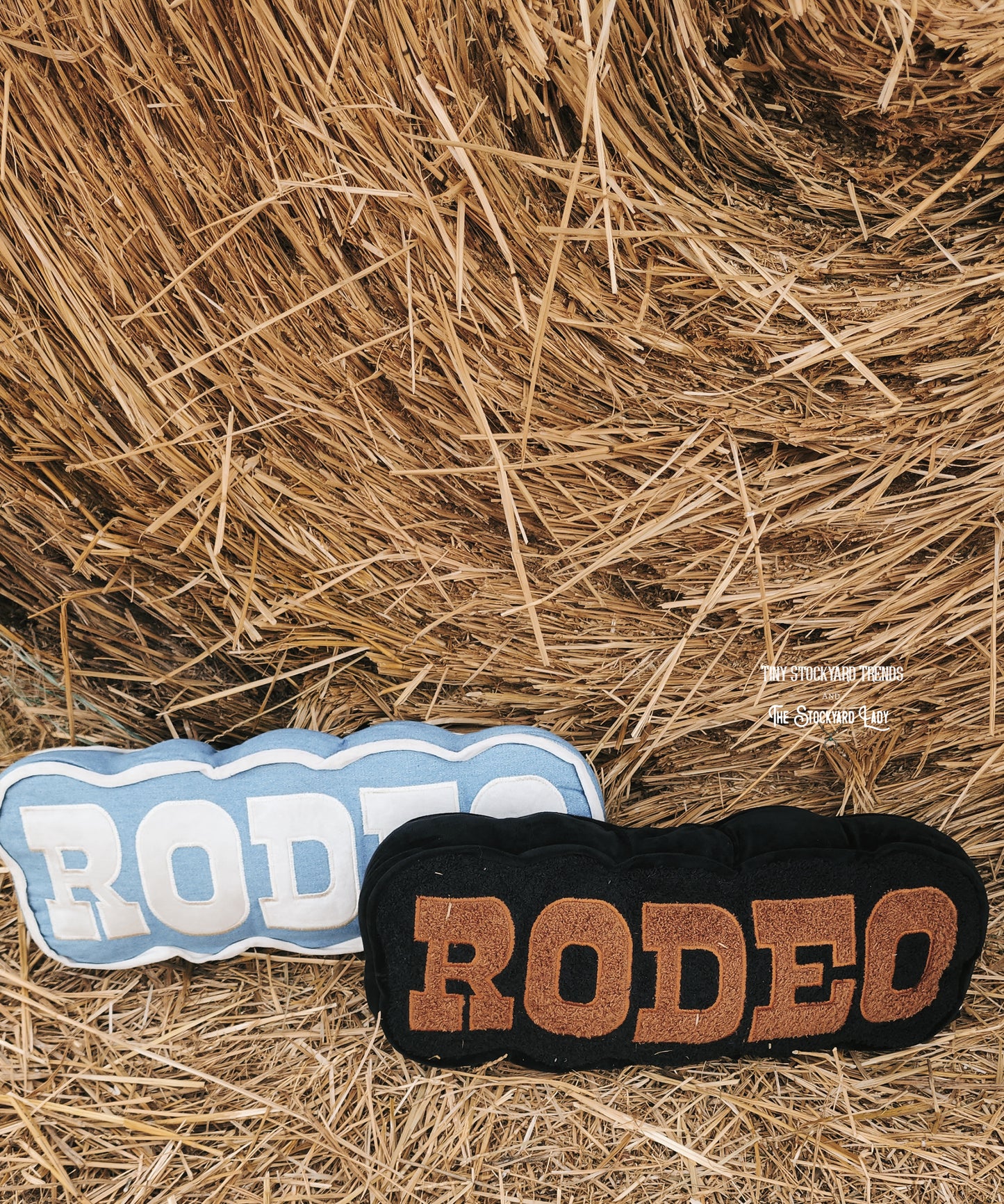 Rodeo Pillow
