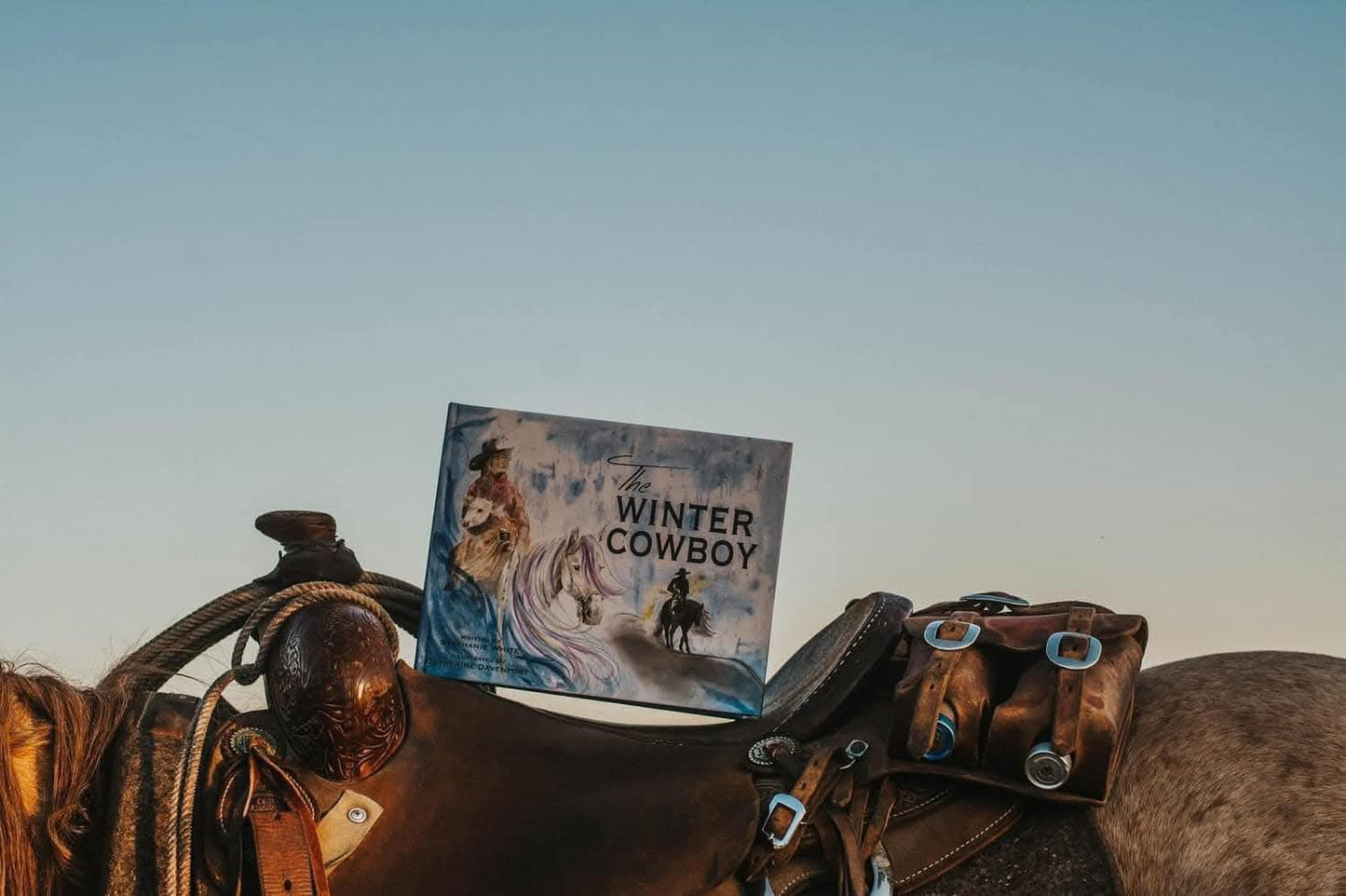Winter Cowboy Book