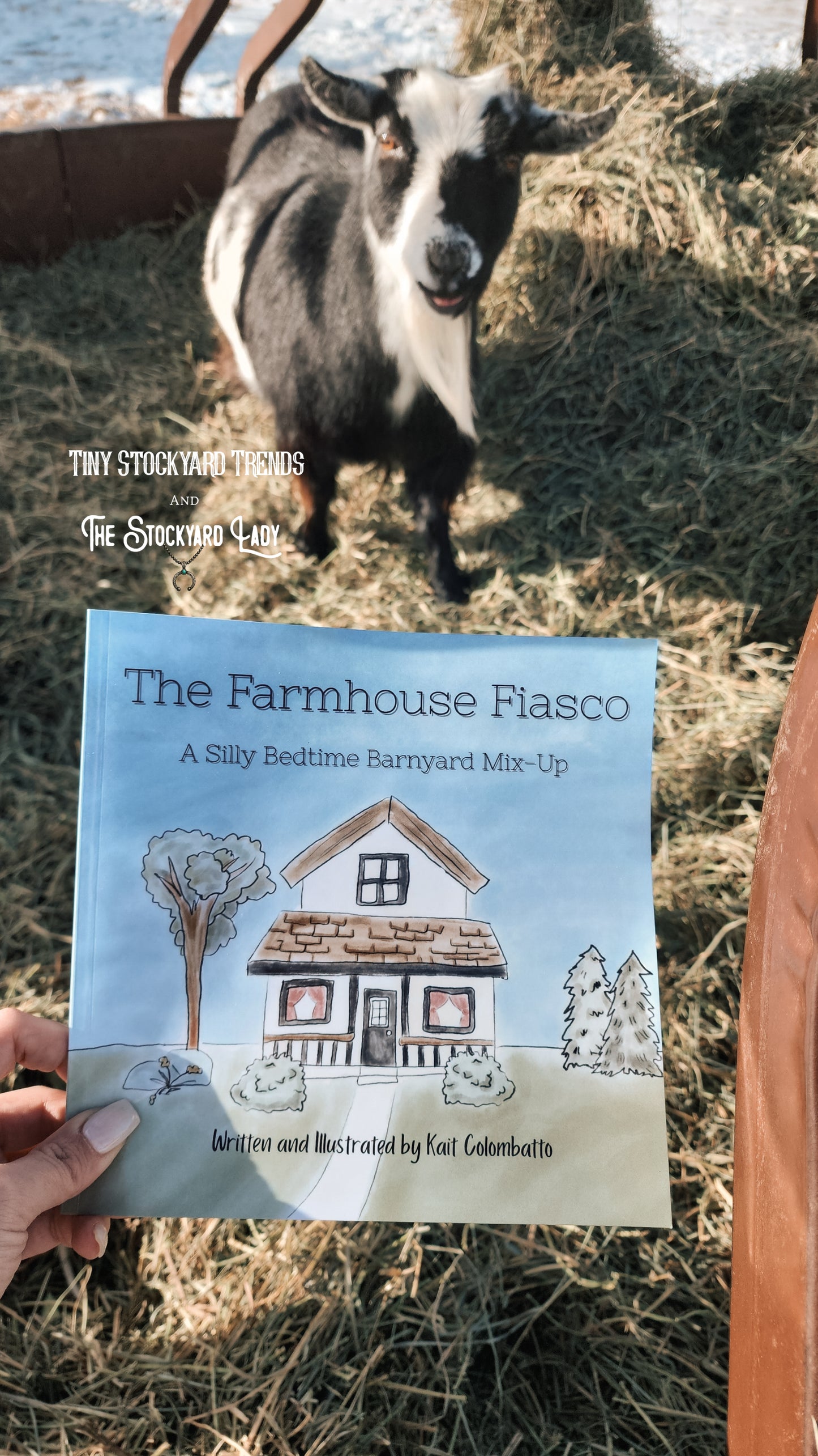 The Farmhouse Fiasco Book