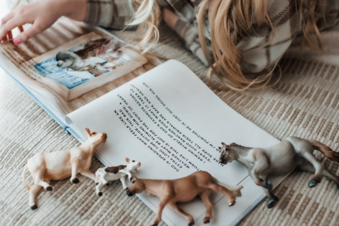 The Winter Cowboy Book