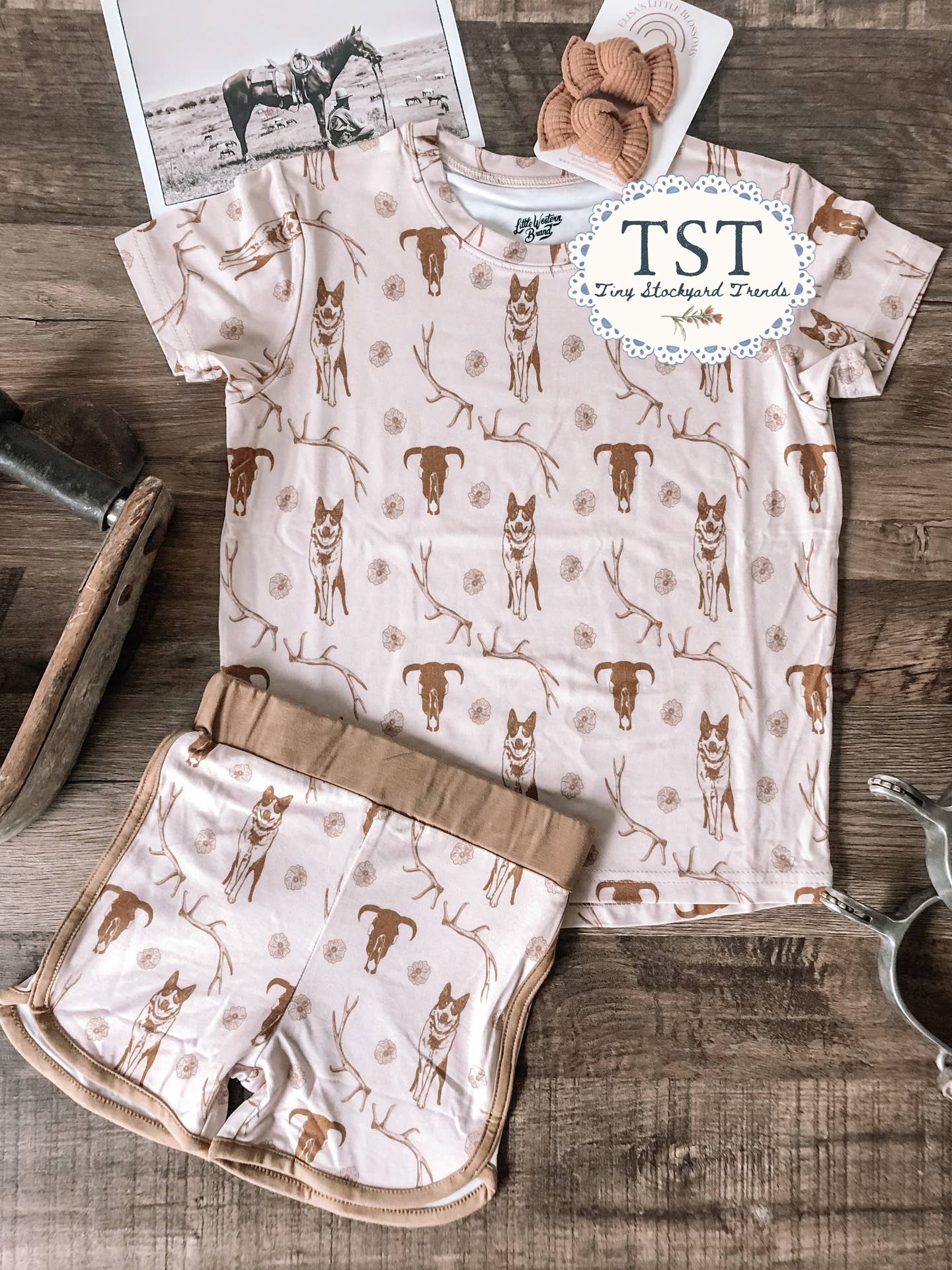 Cowdog Set