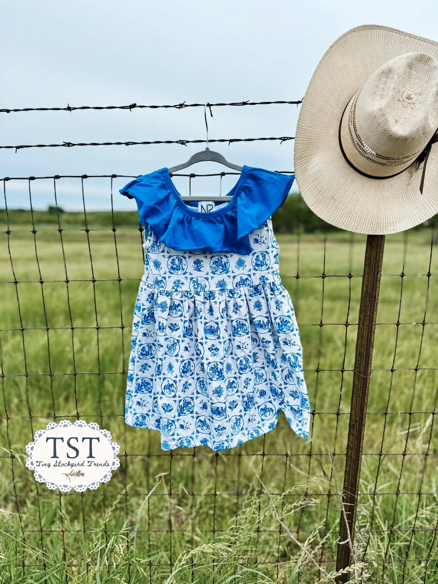 PREORDER Trails & Toile DresS